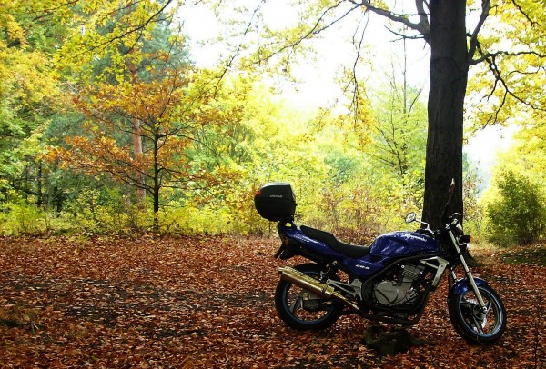 05 moto podzim
