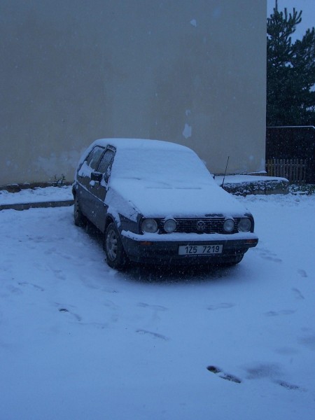 02 zasnen Flek