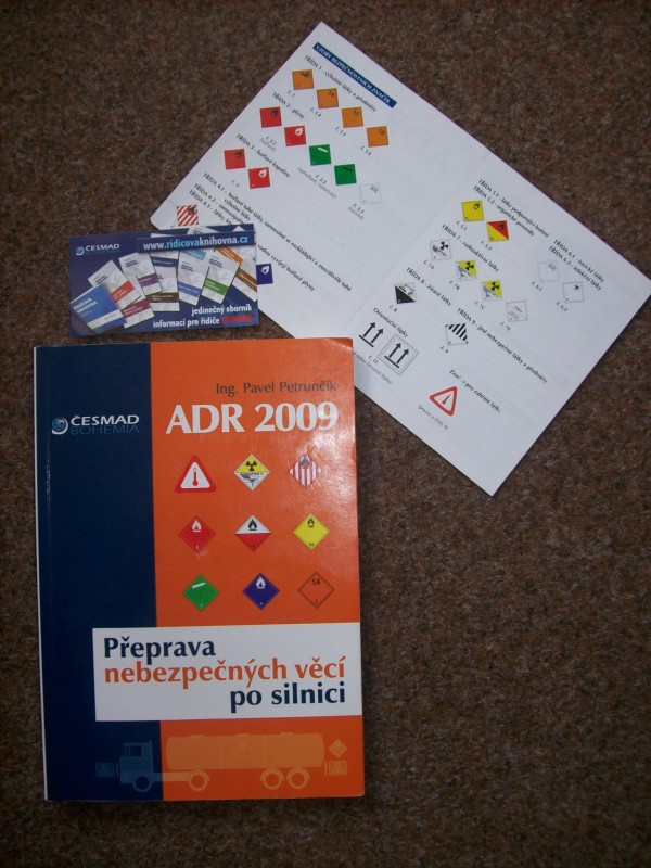 13_1 ADR