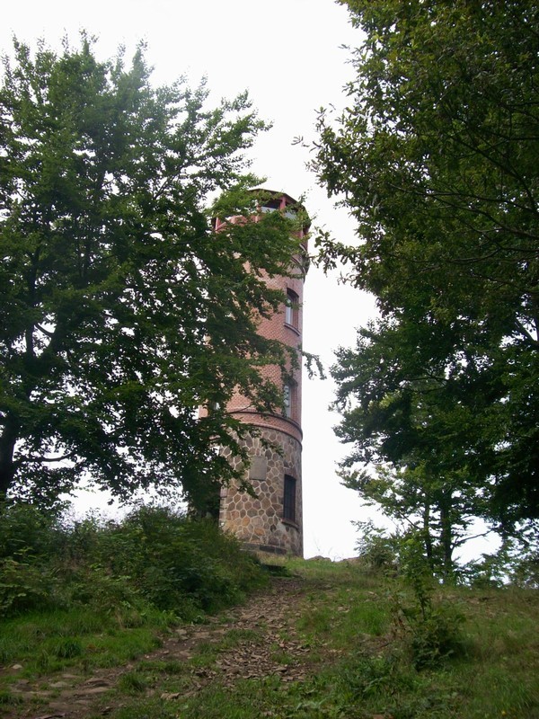 15 Dmnk
