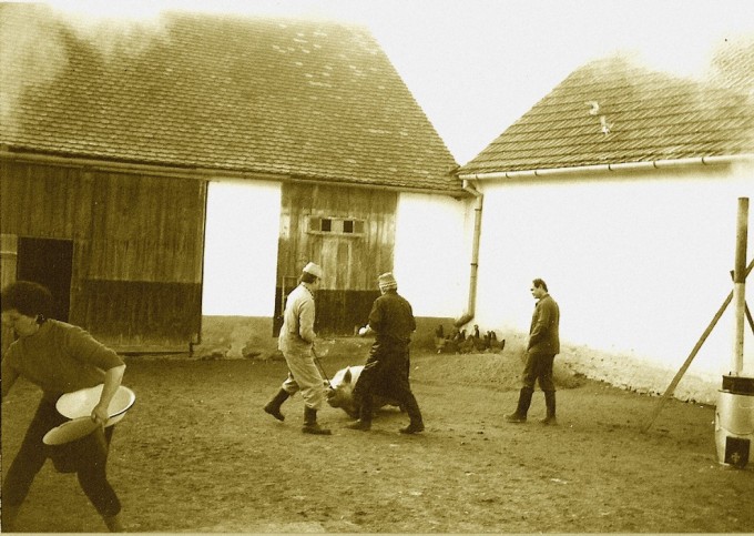 desovska zabijacka 94