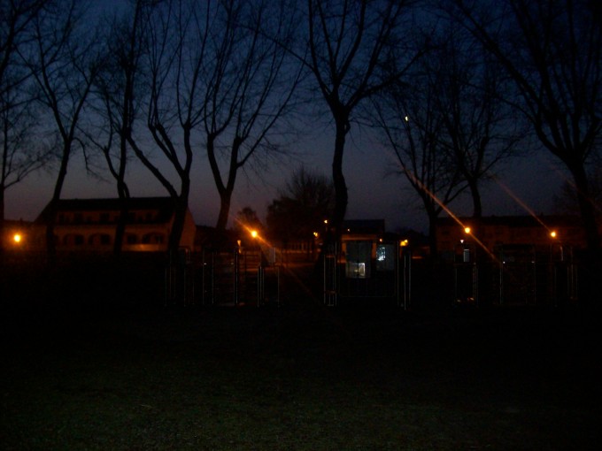 101_2860 Podersdorf se probouz