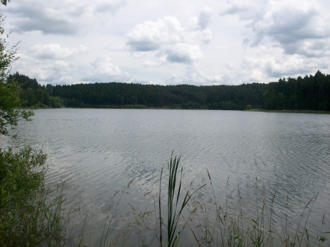 v. n. vihov