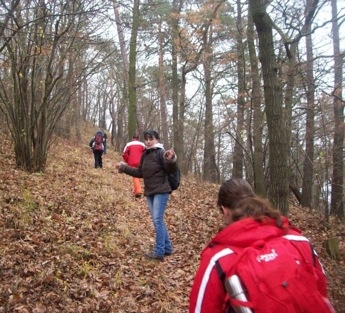 Listopad2012