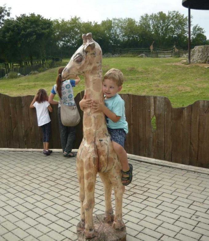 zoo UL 07_16