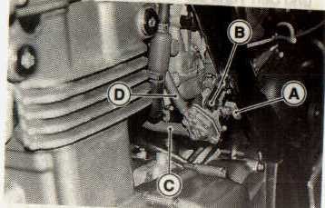 55 B