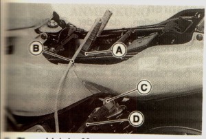 31