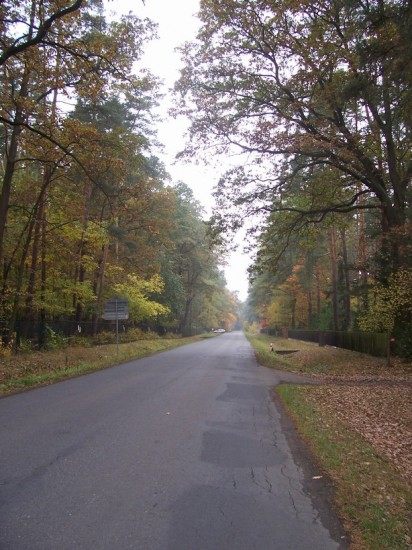 Kersko