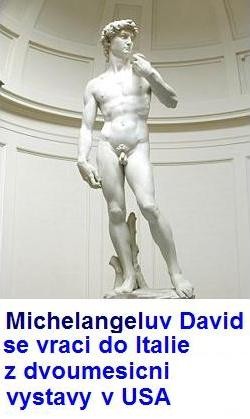 David 01